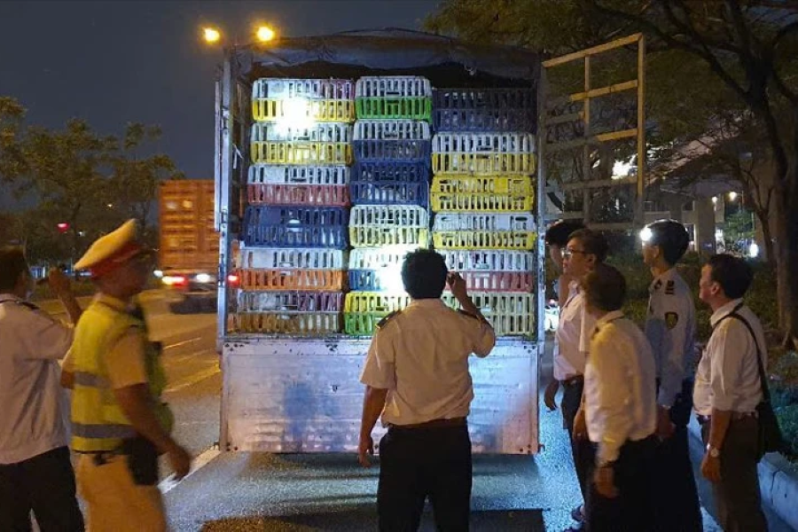 TP HCM phát hiện xe chở hơn 2 tấn vịt không Giấy kiểm dịch vào nội đô
