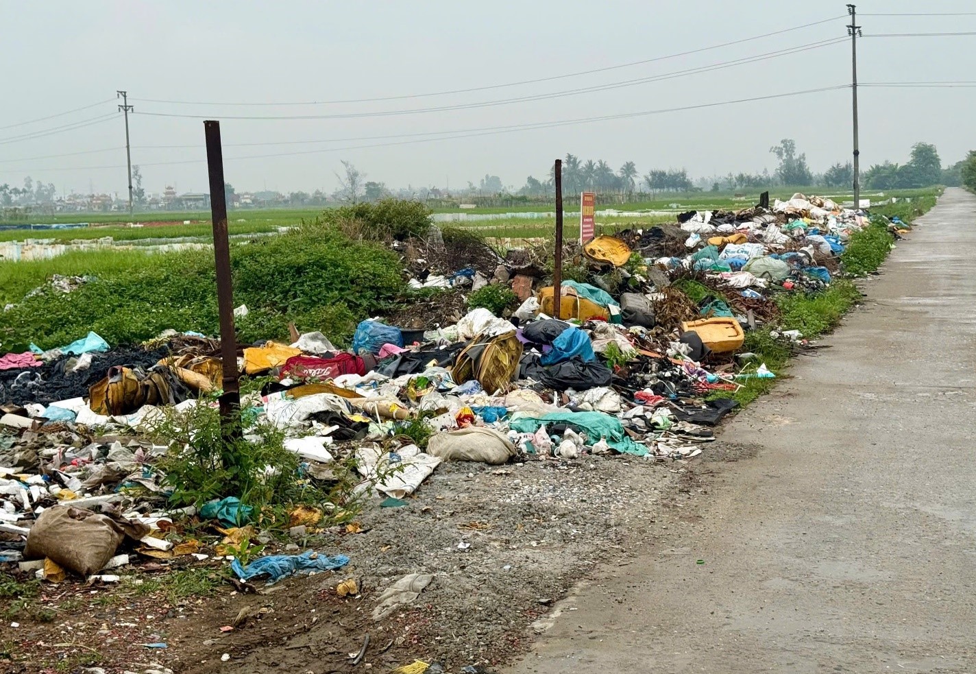 VKSND khu vực 5, TP Hải Phòng kiến nghị xử lý nhiều điểm tập kết rác trái quy định