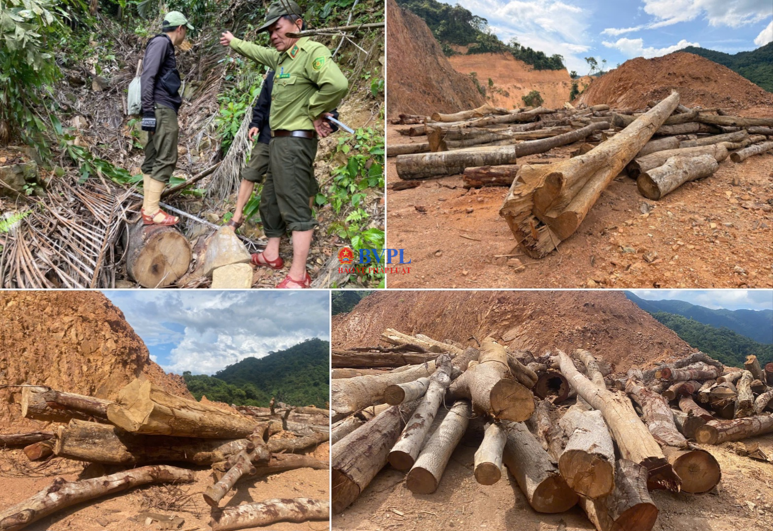 Dự án đường trăm tỉ đi qua, rừng phòng hộ “ngã” xuống Thi công “nhầm” vị trí, 1,5ha rừng bị đốn hạ