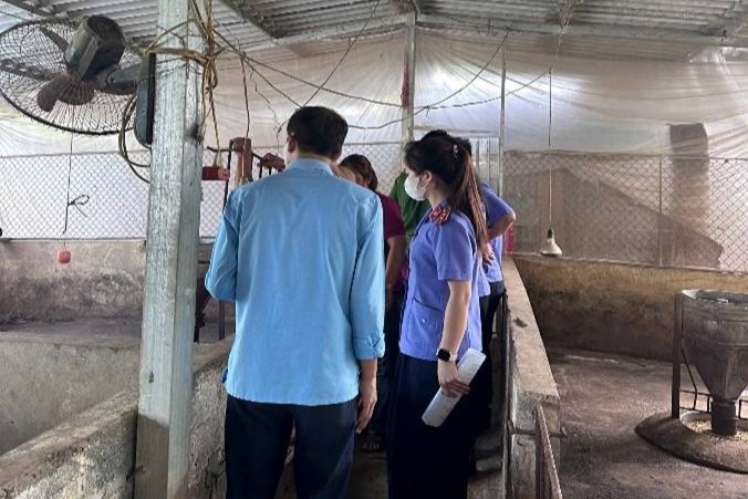 VKSND khu vực 15, tỉnh Phú Thọ kiến nghị xử lý cơ sở chăn nuôi gây ô nhiễm tại khu dân cư