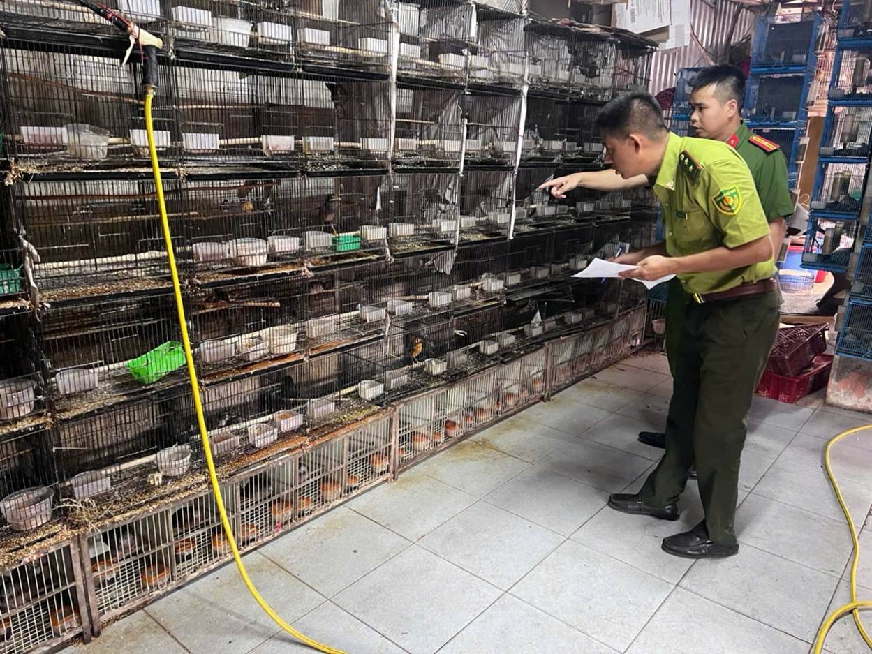 Xử lý nghiêm các hành vi săn bắt, nuôi nhốt động vật hoang dã trái phép