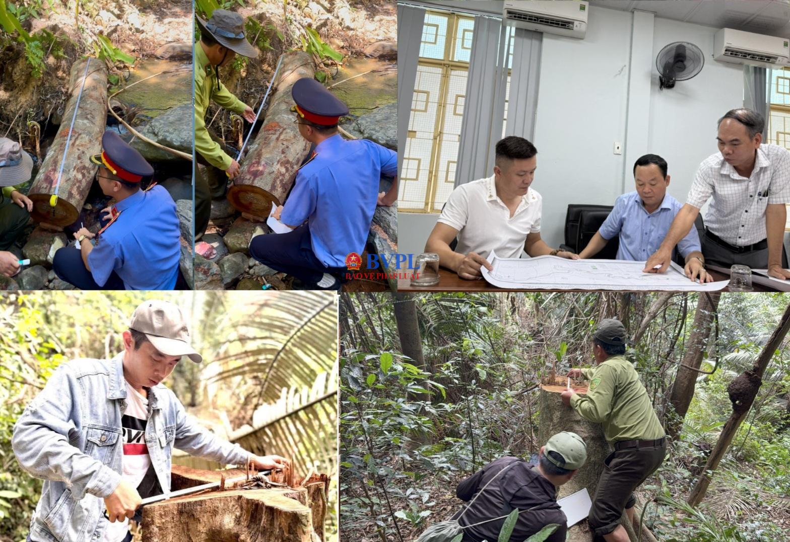 Dự án đường trăm tỉ đi qua, rừng phòng hộ “ngã” xuống Cơ quan chức năng xác nhận vụ việc đúng như báo chi phản ánh