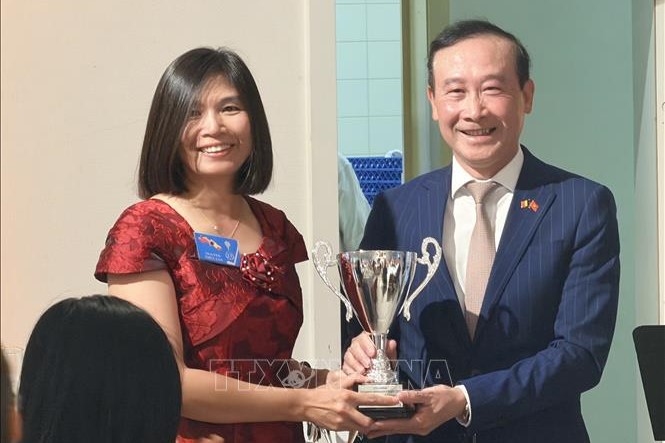 13 mùa giải vì nạn nhân chất độc da cam Việt Nam