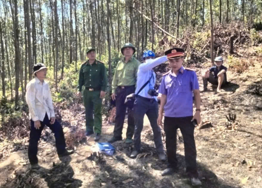 VKSND khu vực 11, TP Đà Nẵng tham gia khám nghiệm hiện trường vụ cháy rừng