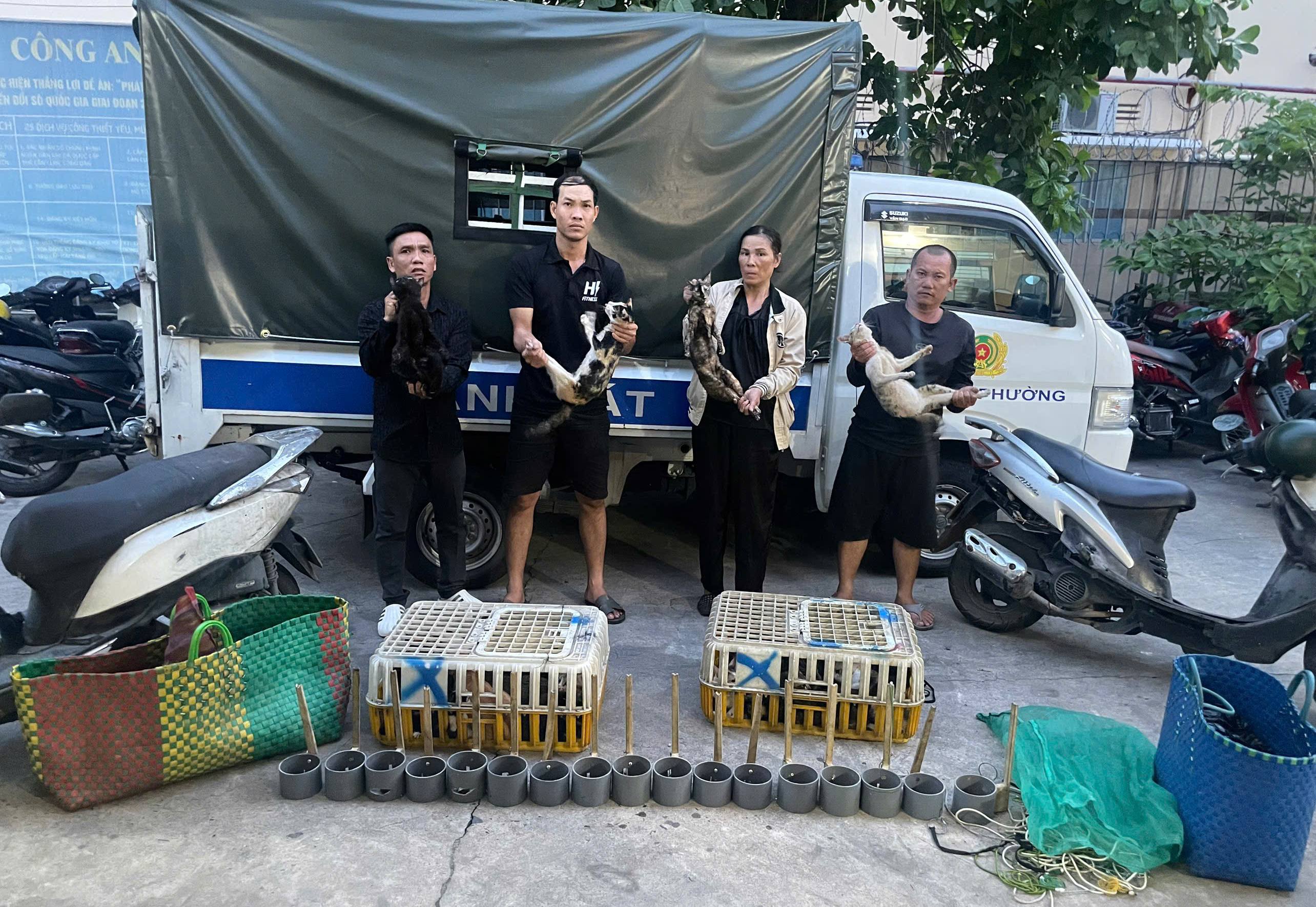 Triệt xóa nhóm đối tượng trộm cắp, thu gom mèo quy mô đặc biệt lớn