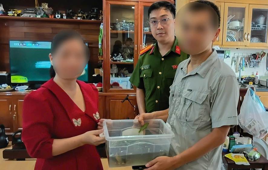 Vận động người dân bàn giao 2 cá thể rùa cổ sọc thuộc nhóm động vật quý hiếm