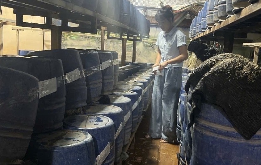 VKSND tỉnh Hưng Yên phối hợp chặt chẽ xử lý hành vi sản xuất giá đỗ chứa chất cấm