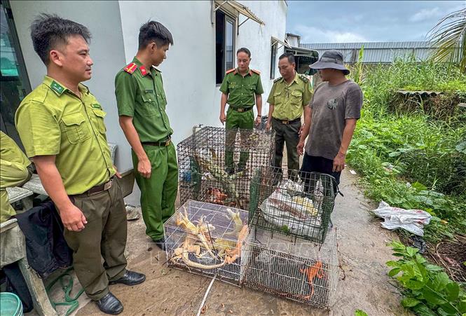 Phạt tiền tối đa đối với cá nhân về hành vi vi phạm hành chính trong chăn nuôi là 100 triệu đồng