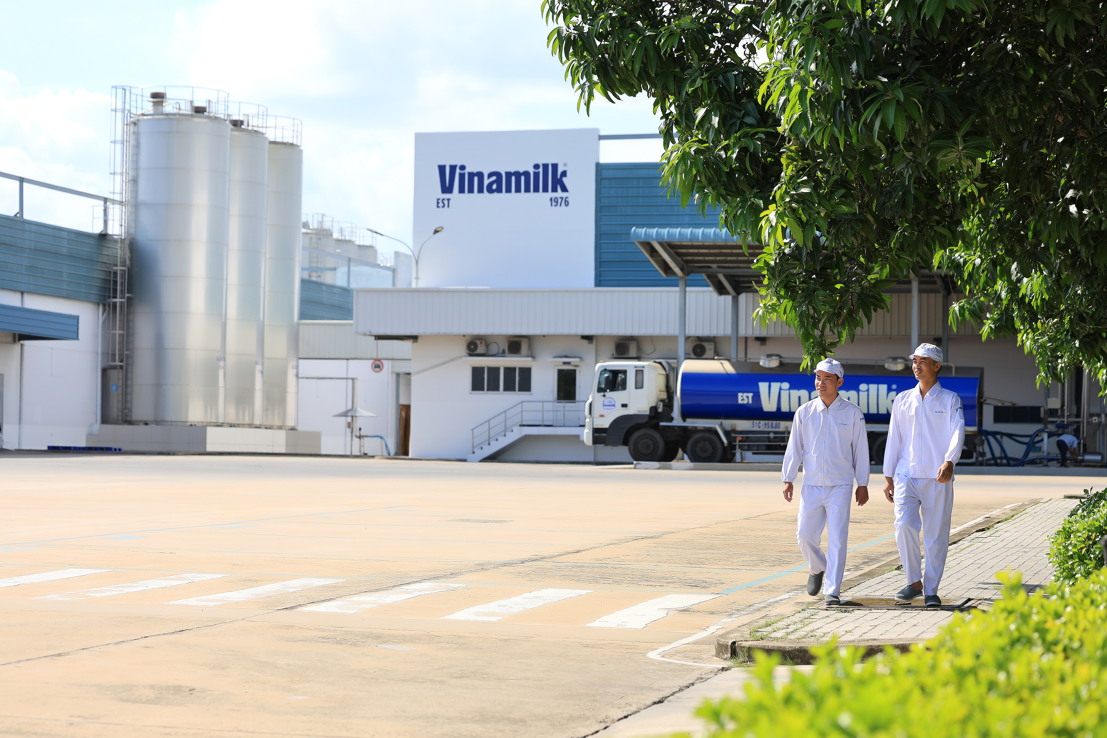Vinamilk tiếp tục là đại diện của ngành sữa Việt Nam trong Fortune 500 Đông Nam Á