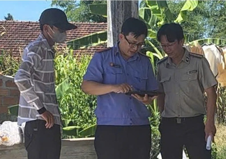 Kiểm sát việc giao tài sản bán đấu giá trong thi hành án dân sự ở Gia Lai