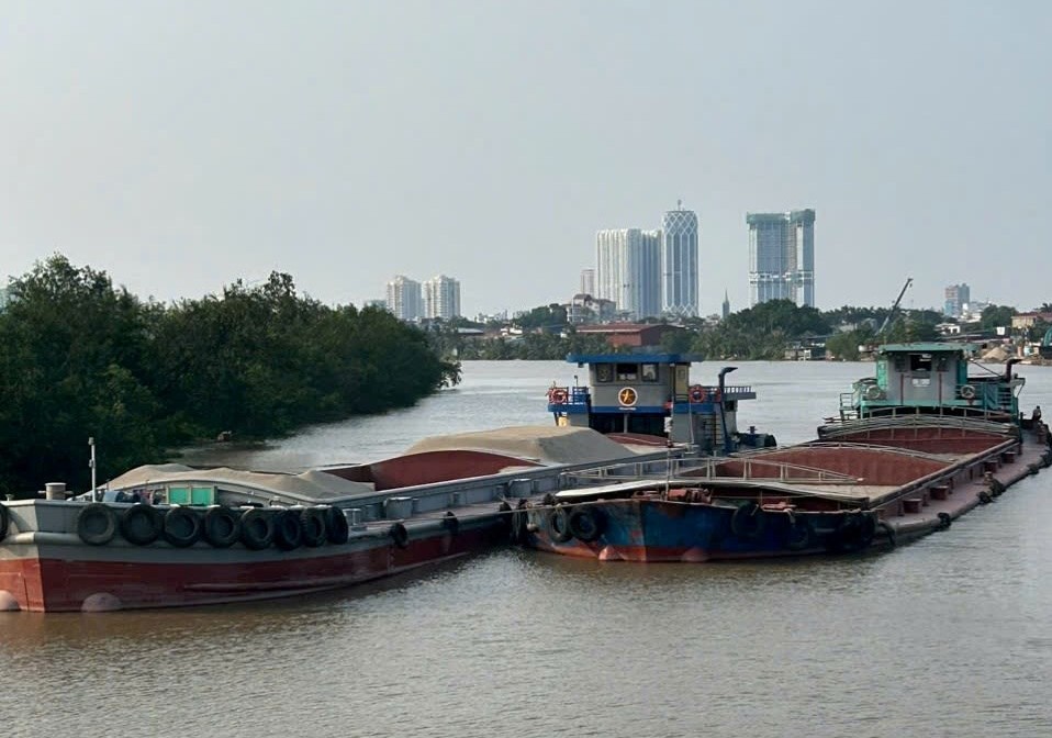 Phát hiện 6 phương tiện chở cát san lấp không có nguồn gốc hợp pháp