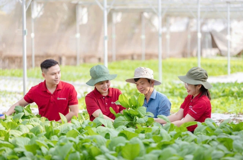 Agribank cho vay thông qua Tổ vay vốn Khơi thông nguồn vốn, trợ lực vững chắc cho “tam nông”
