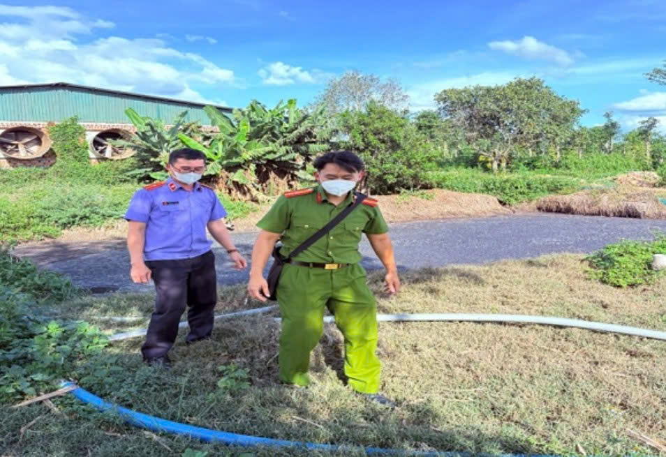 Phê chuẩn khởi tố chủ cơ sở chăn nuôi heo xả thải ra môi trường ở Gia Lai