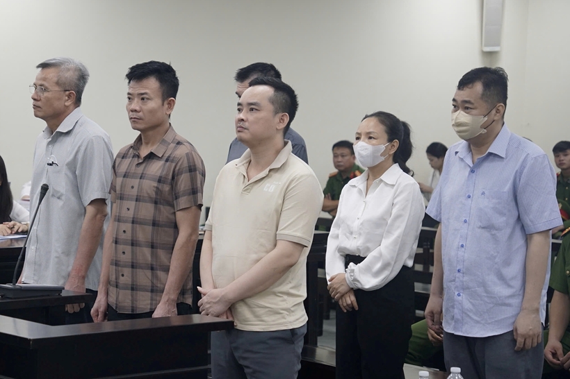 Tham ô tài sản, cựu Chủ tịch Công ty Nam Triệu Nguyễn Văn Hưng lĩnh 29 năm tù