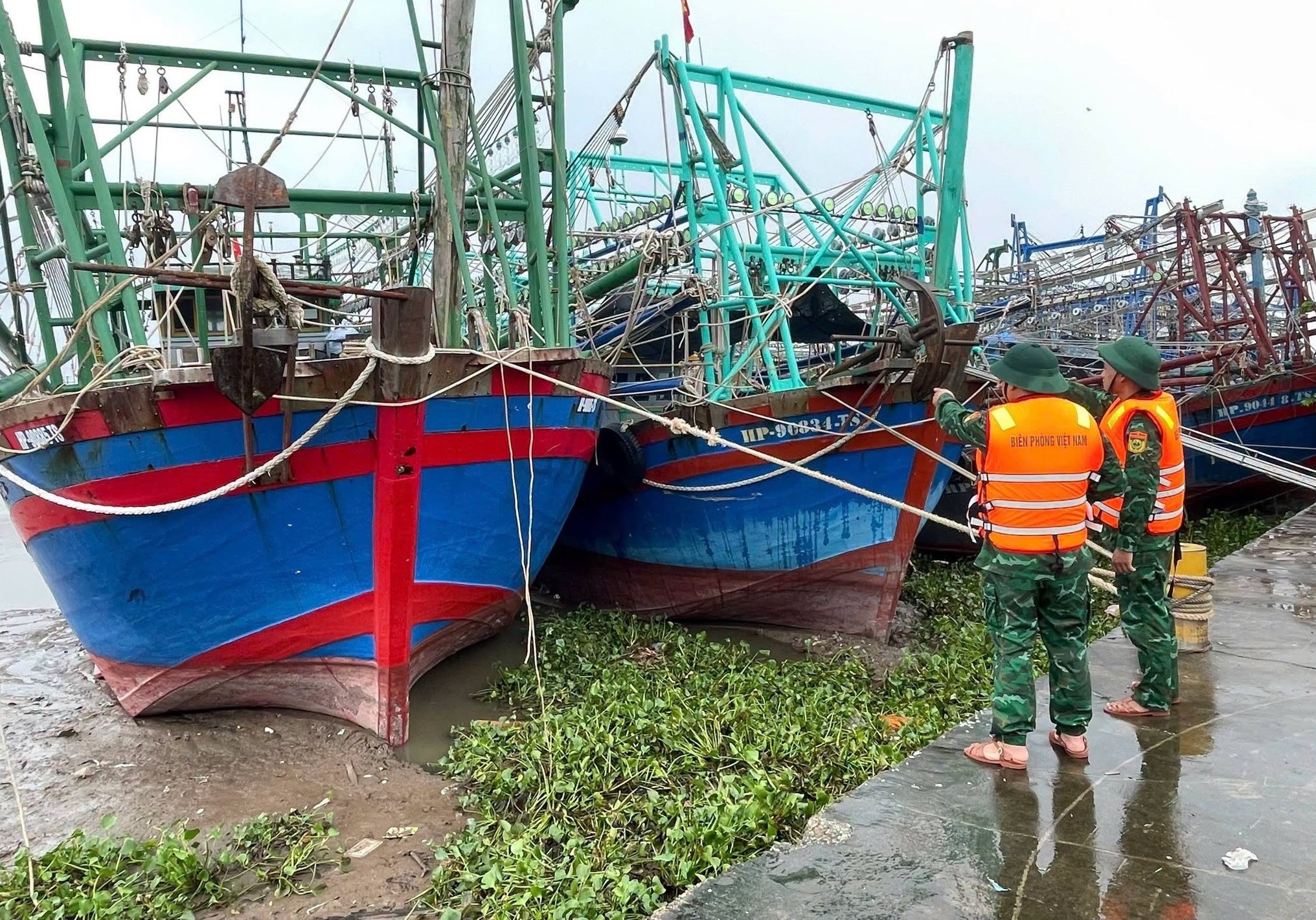 Hải Phòng triển khai khẩn các biện pháp ứng phó bão số 1, khẩn trương đưa tàu thuyền vào nơi tránh trú