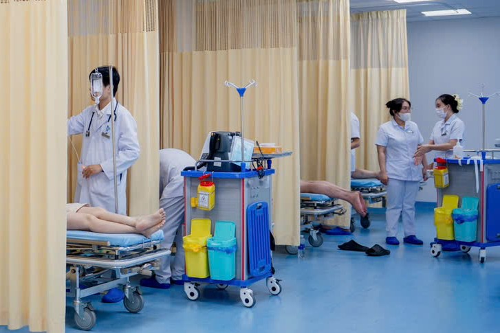 Kịp thời xử trí 8 trường hợp bị ong vò vẽ đốt