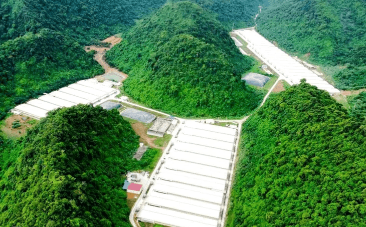 Điều tra toàn diện trang trại lợn để xảy ra vụ tai nạn khiến 5 người thiệt mạng