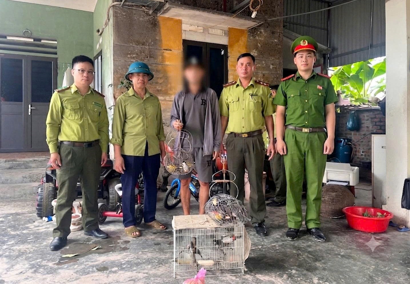 Phát hiện 2 vụ bẫy, nuôi nhốt chim hoang dã trái phép ở Hải Phòng