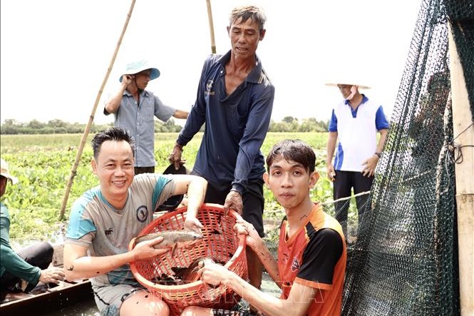 Khám phá nét văn hóa độc đáo giữa Đồng Tháp Mười thu nhỏ