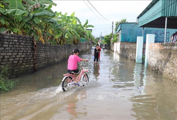 Trung Bộ và Nam Bộ mưa lớn, đề phòng lũ quét và ngập úng