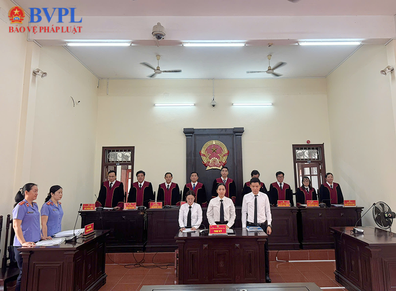 Khi quyền lợi của người yếu thế được xem xét lại