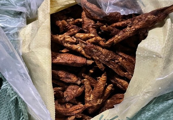 Phát hiện hơn 8,7 tấn chân gà không rõ nguồn gốc trên xe tải