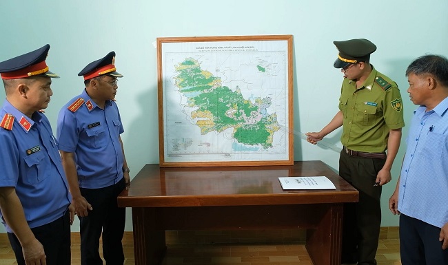Chương trình Hồ sơ công tố - Kiểm sát Lá chắn bảo vệ rừng
