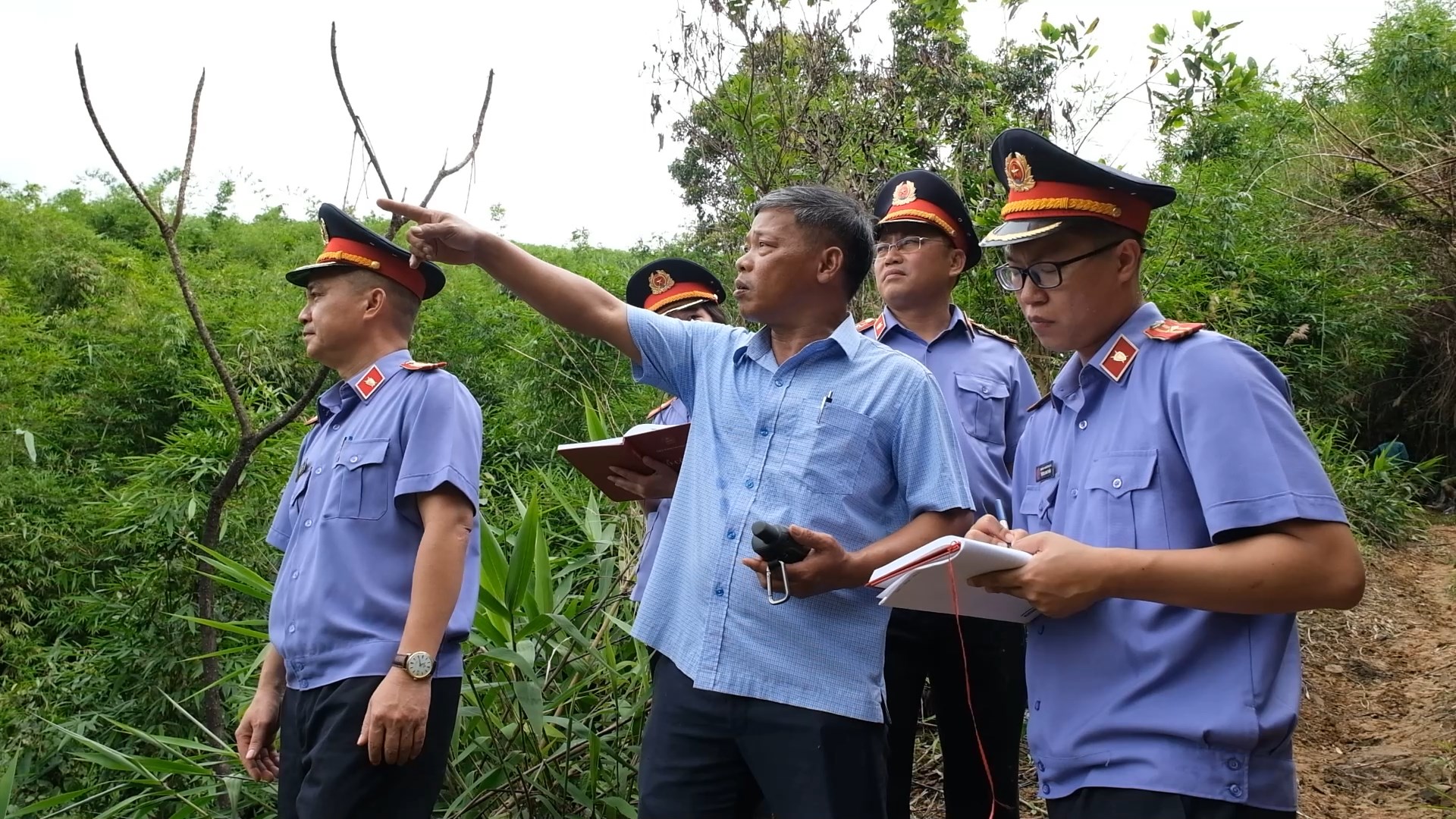 Lá chắn bảo vệ rừng