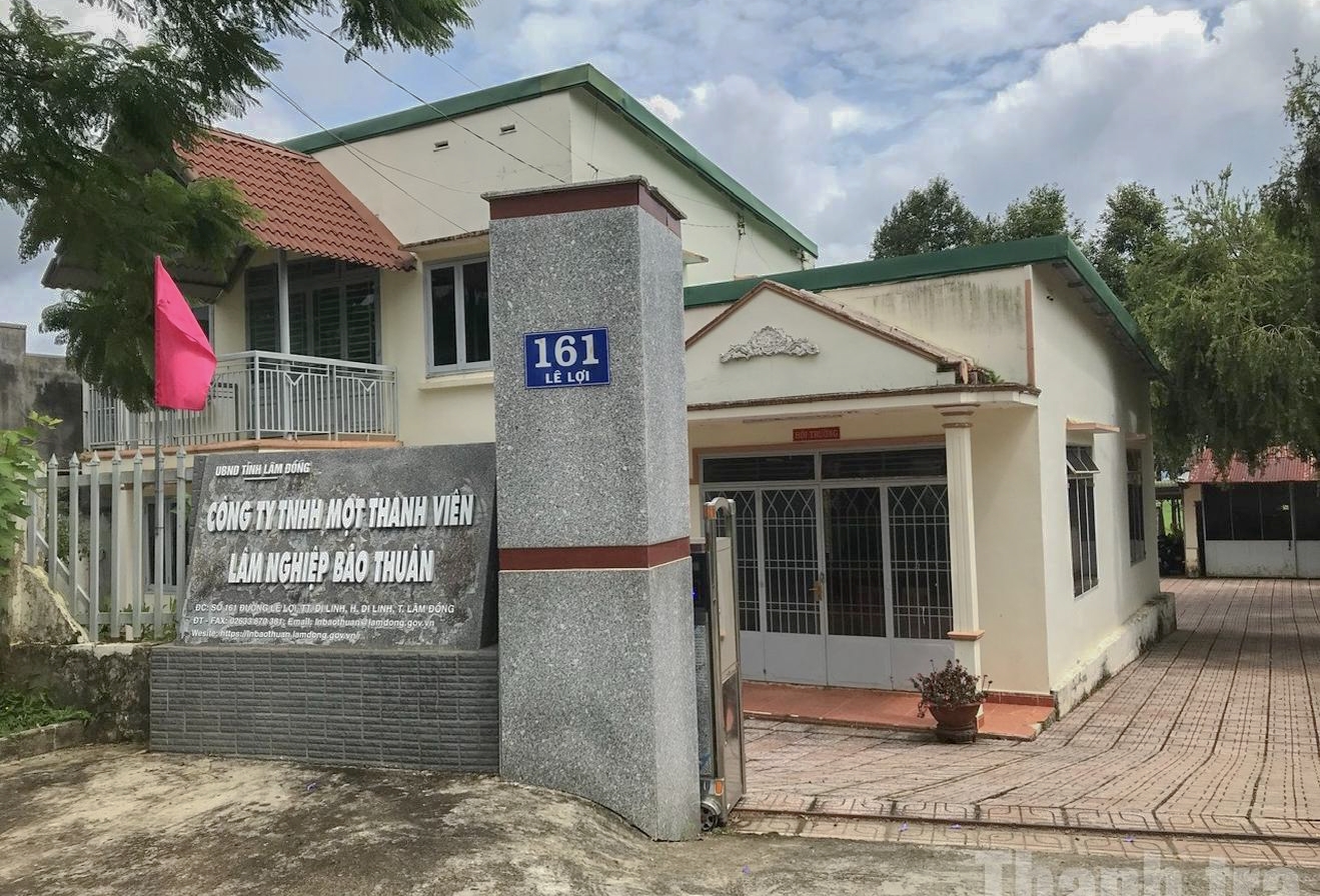 Hàng loạt sai phạm nghiêm trọng tại Công ty Lâm nghiệp Bảo Thuận