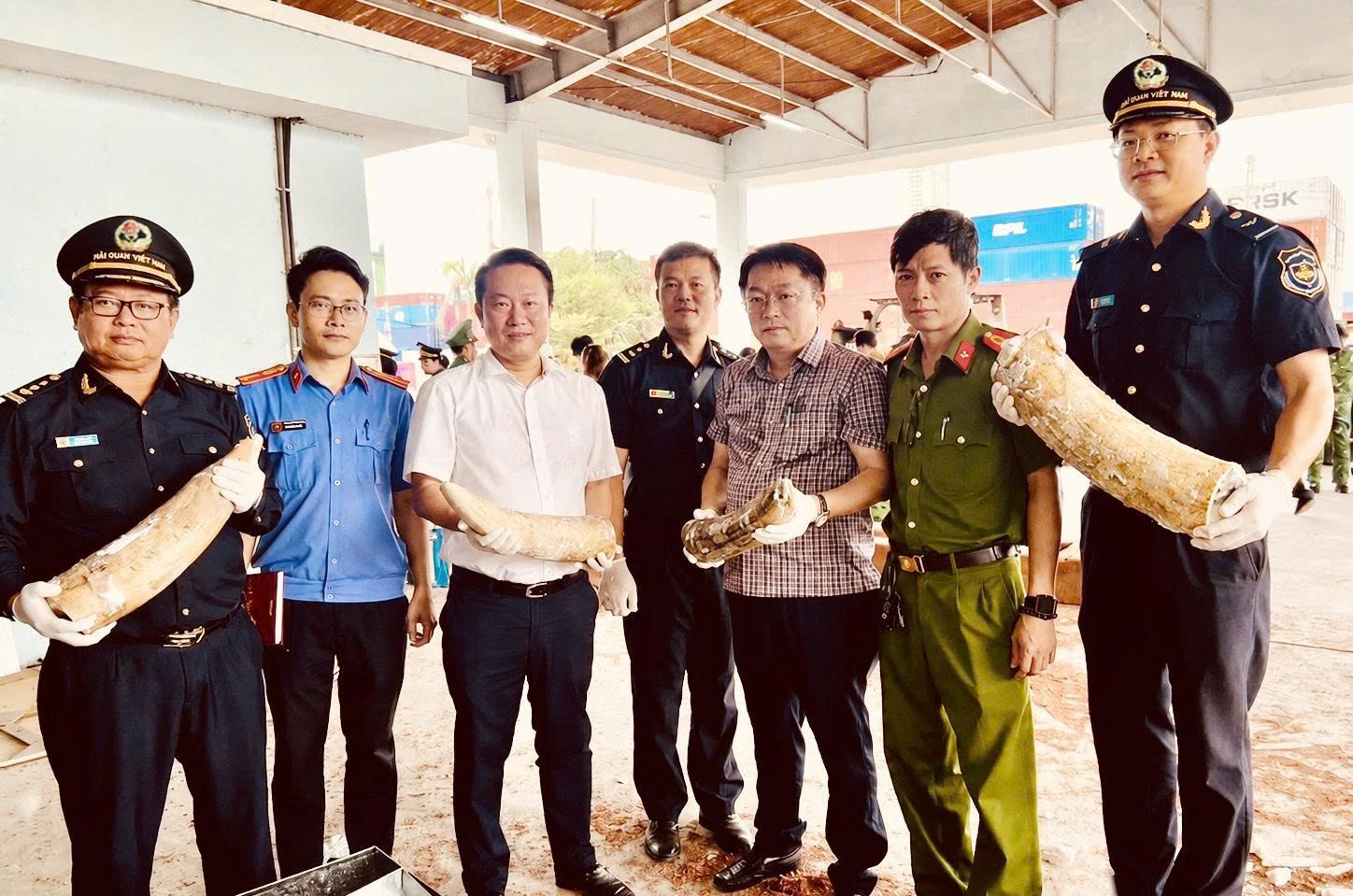 Khai báo hải quan là gỗ xẻ, kiểm tra phát hiện gần 1 200kg ngà voi và gần 80kg xương động vật