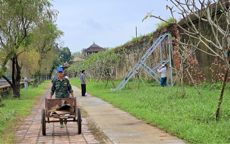 Nan giải bài toán tạo “màu thời gian” trong việc tu bổ Hoàng thành Huế