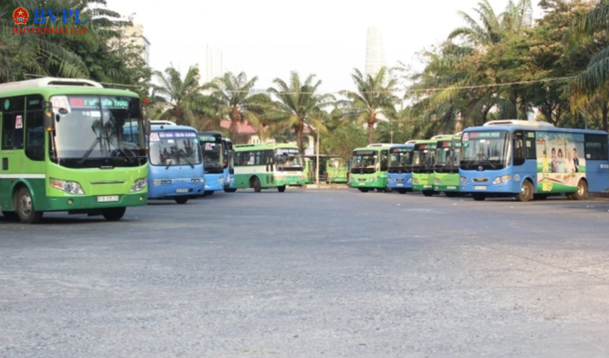 Miễn vé xe buýt thu hút người dân tiếp cận giao thông công cộng