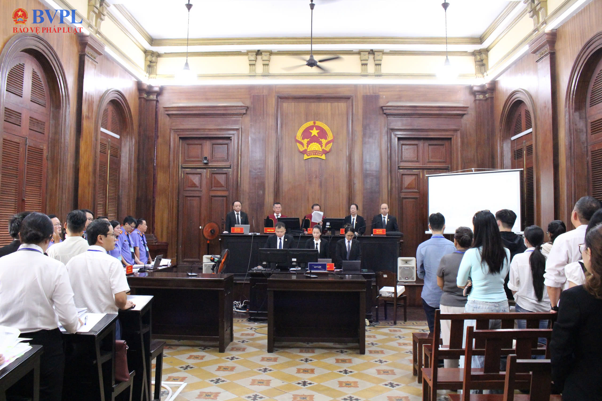 Xét xử vụ án VN10 với 227 bị cáo liên quan 4 tiếp viên hàng không