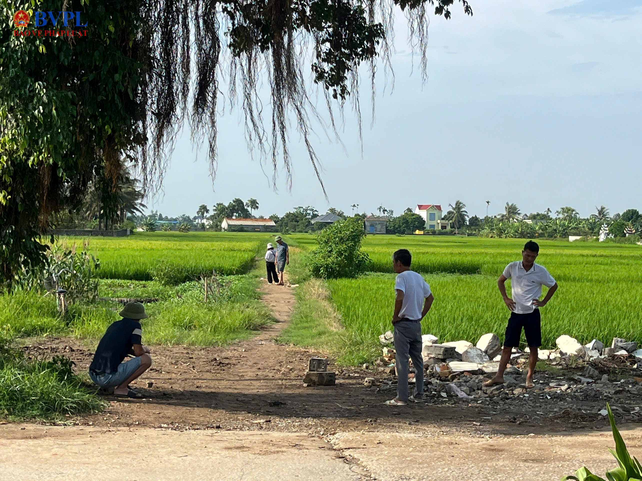 Trang trại chăn nuôi lợn hơn chục năm “hành dân”