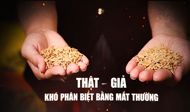 Thông báo thay đổi lịch phát sóng chương trình “Hồ sơ Công tố - Kiểm sát”