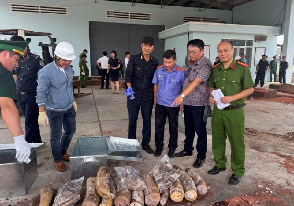 Kiểm sát vụ vận chuyển gần 1,2 tấn ngà voi ở Gia Lai