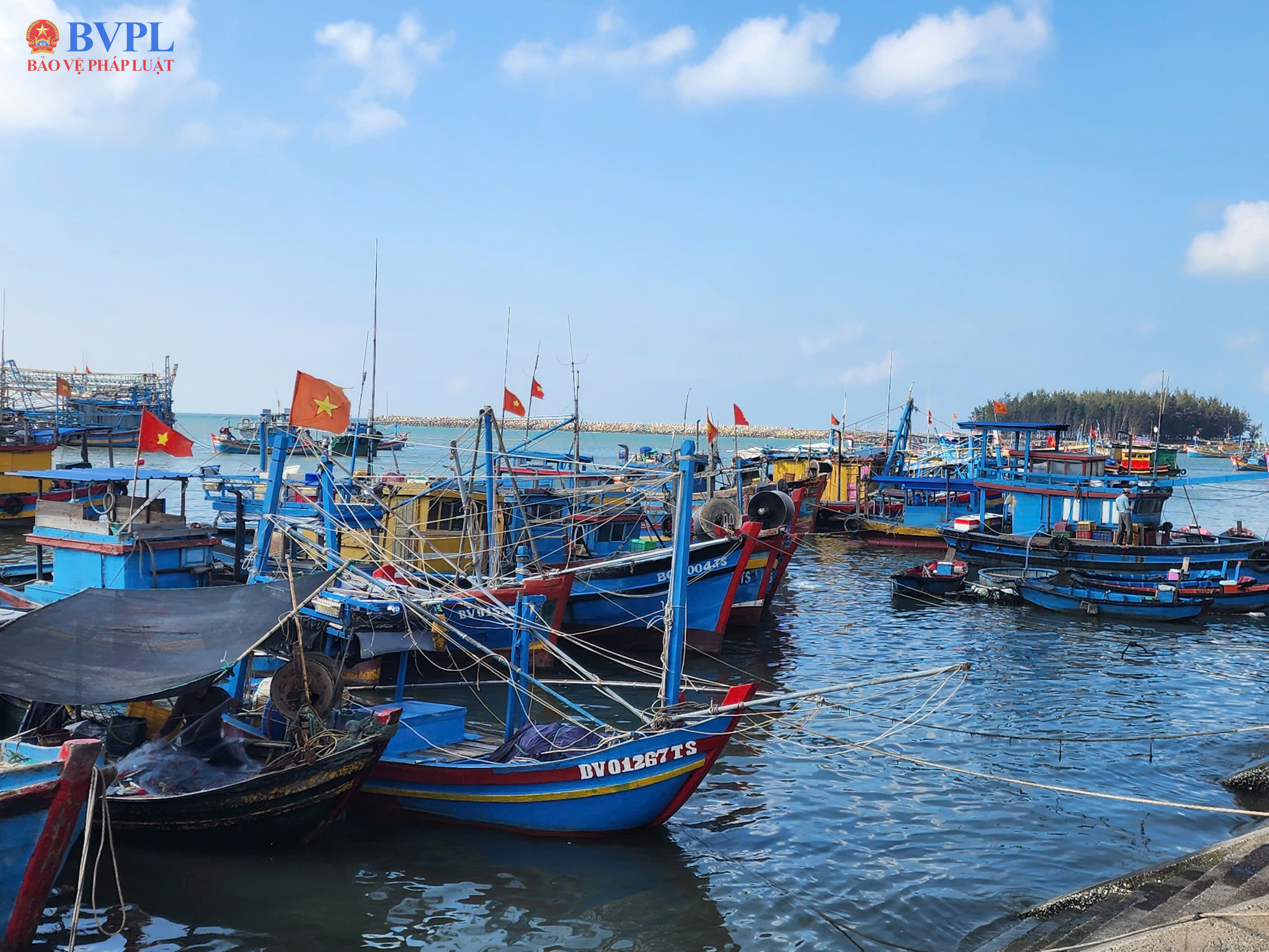 TP Hồ Chí Minh Siết quản lý tàu cá, giám sát VMS 24 7 để chống khai thác IUU