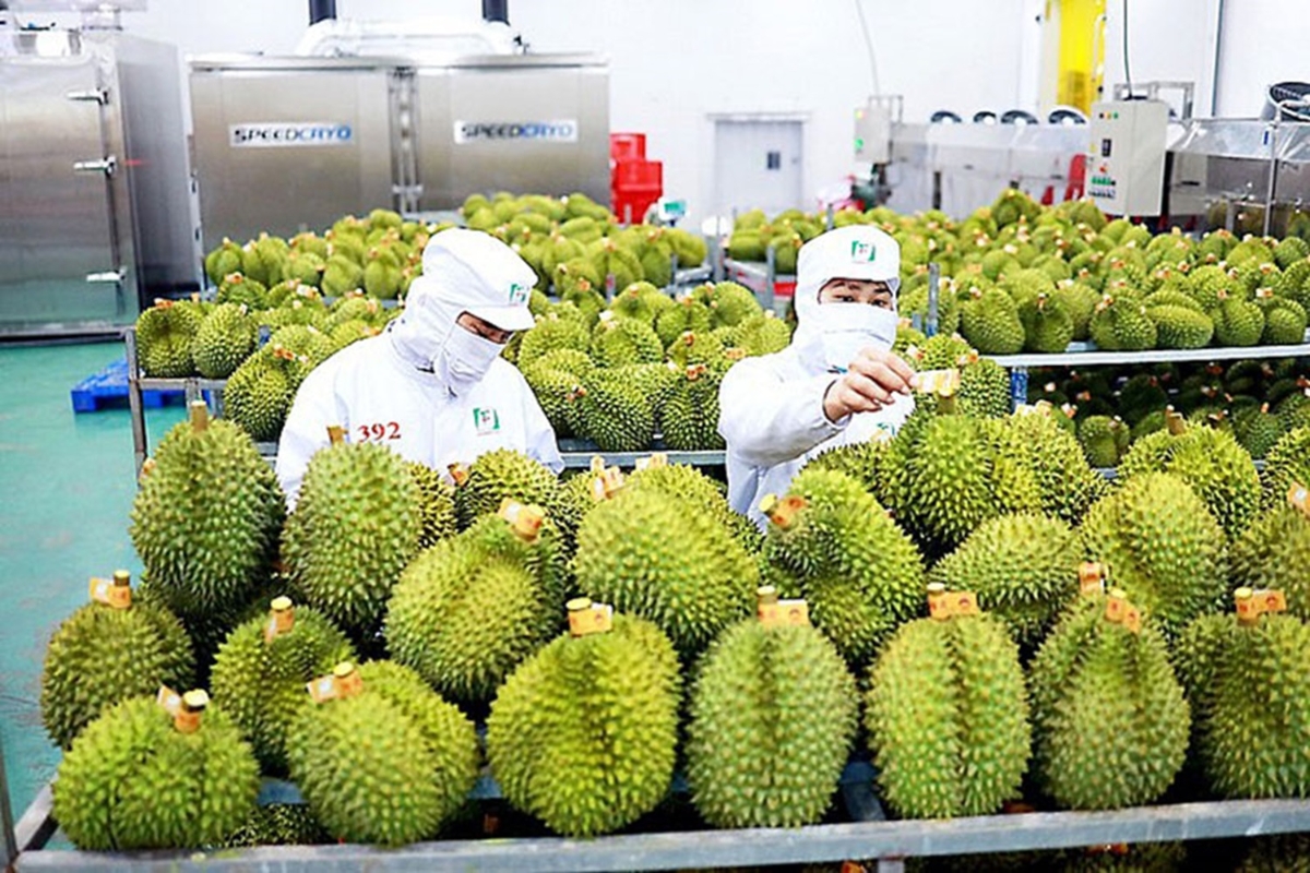 Xuất nhập khẩu hàng hóa 8 tháng năm 2026 tháng tăng gần 29
