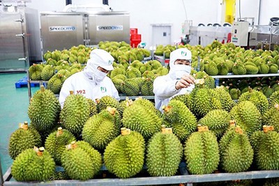 Xuất nhập khẩu hàng hóa 8 tháng đầu năm 2026 tăng gần 29%