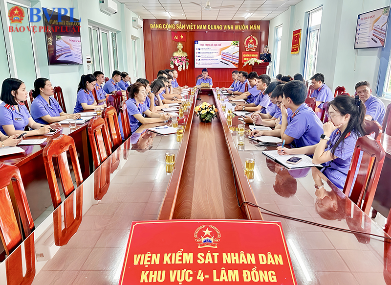 Sinh hoạt chuyên đề về những quy định mới trong tư pháp người chưa thành niên