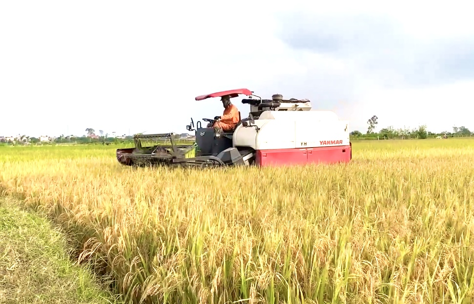 Sửa đổi một số quy định về bảo hiểm nông nghiệp