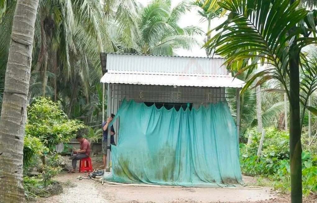 Chồng dùng dao đâm vợ tử vong rồi tự sát bất thành
