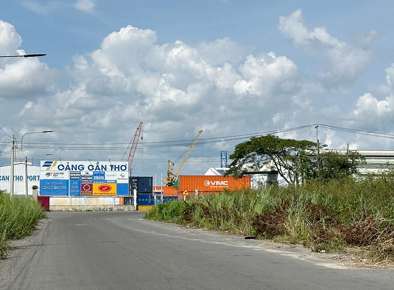Đấu giá hơn 13,3ha đất làm khu logistics Cái Cui, giá khởi điểm gần 144 tỉ đồng