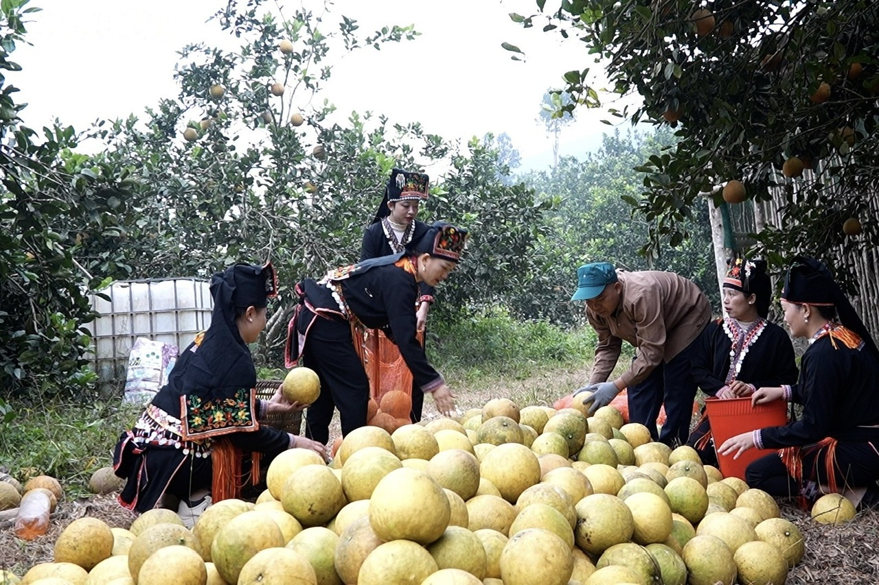 Chuyển biến tích cực trong giảm nghèo bền vững ở Lào Cai