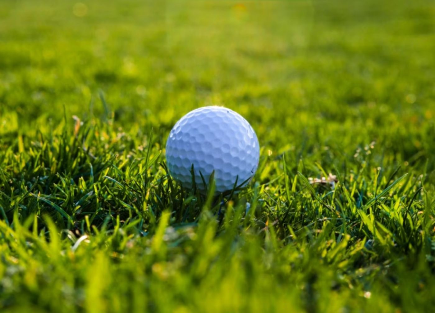 7 năm hứng chịu bóng golf, chủ nhà được bồi thường hàng chục nghìn USD