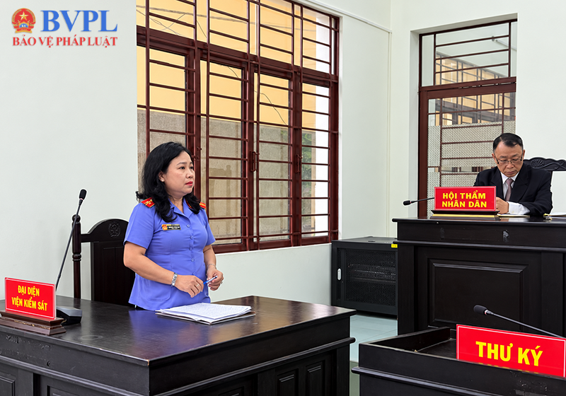 Tòa chấp nhận yêu cầu khởi kiện 3 vụ án dân sự công ích của VKSND khu vực 9, TP Hồ Chí Minh