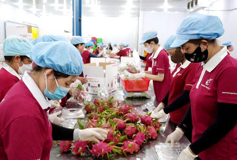 Tây Ninh thu ngân sách gần 52 000 tỉ đồng sau 9 tháng