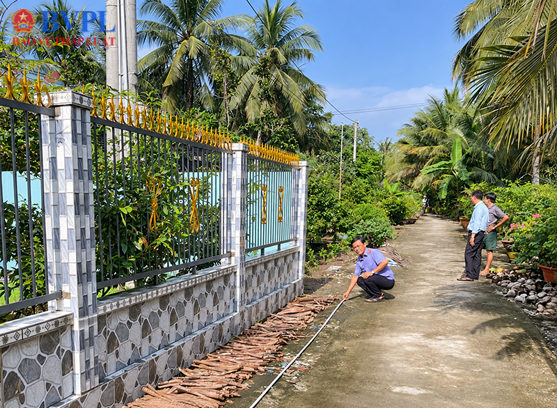 VKSND khu vực 12, TP Cần Thơ xác minh hiện trạng hơn 2 000m² đất công