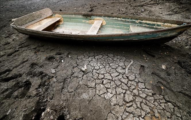 Liên hợp quốc El Nino sẽ tiếp tục mạnh lên và đạt đỉnh vào tháng 12 2026