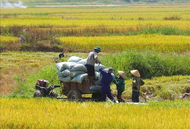 Quy định về xác định xuất xứ Việt Nam đối với hàng hóa sản xuất và lưu thông trong nước